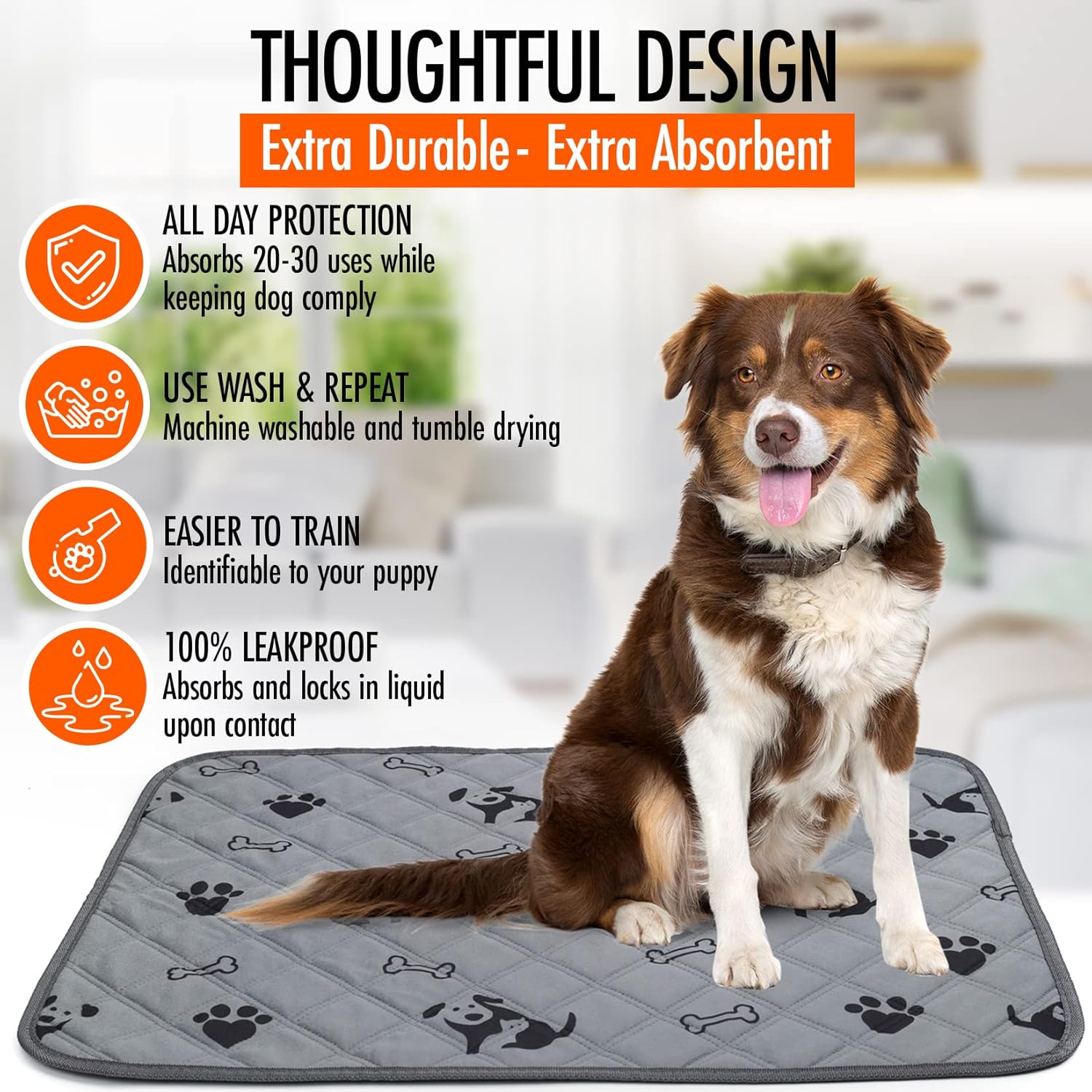 Washable Non-Slip Absorbent Dog Pee Pads, 2-Pack