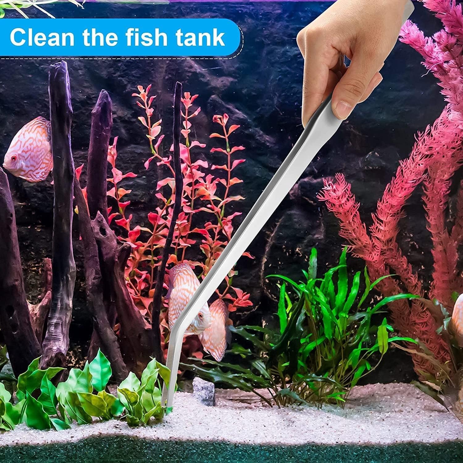 Pinces Courbées Longues de 27 cm 2 pièces, Outils d'Aquarium et de Terrarium, Pinces d'alimentation pour Reptiles, Plantes Aquatiques et Terrarium