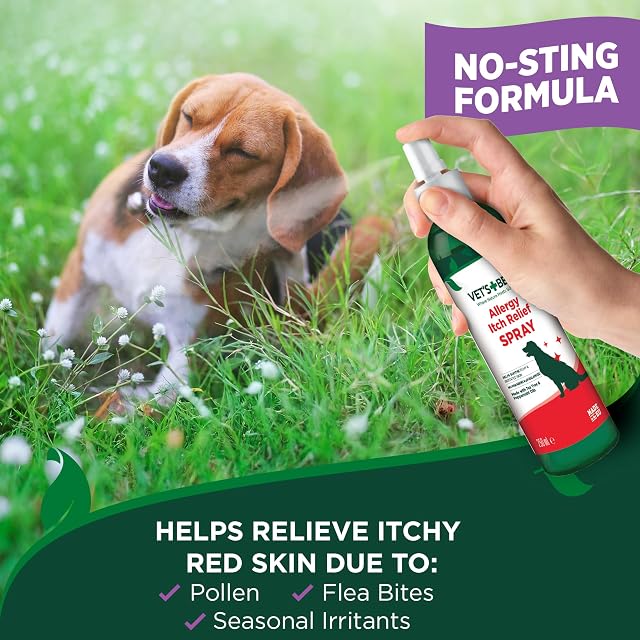 Foto 2 de 6 de Vet's Best Alergia Natural Itch Relief Dog Spray 250ml