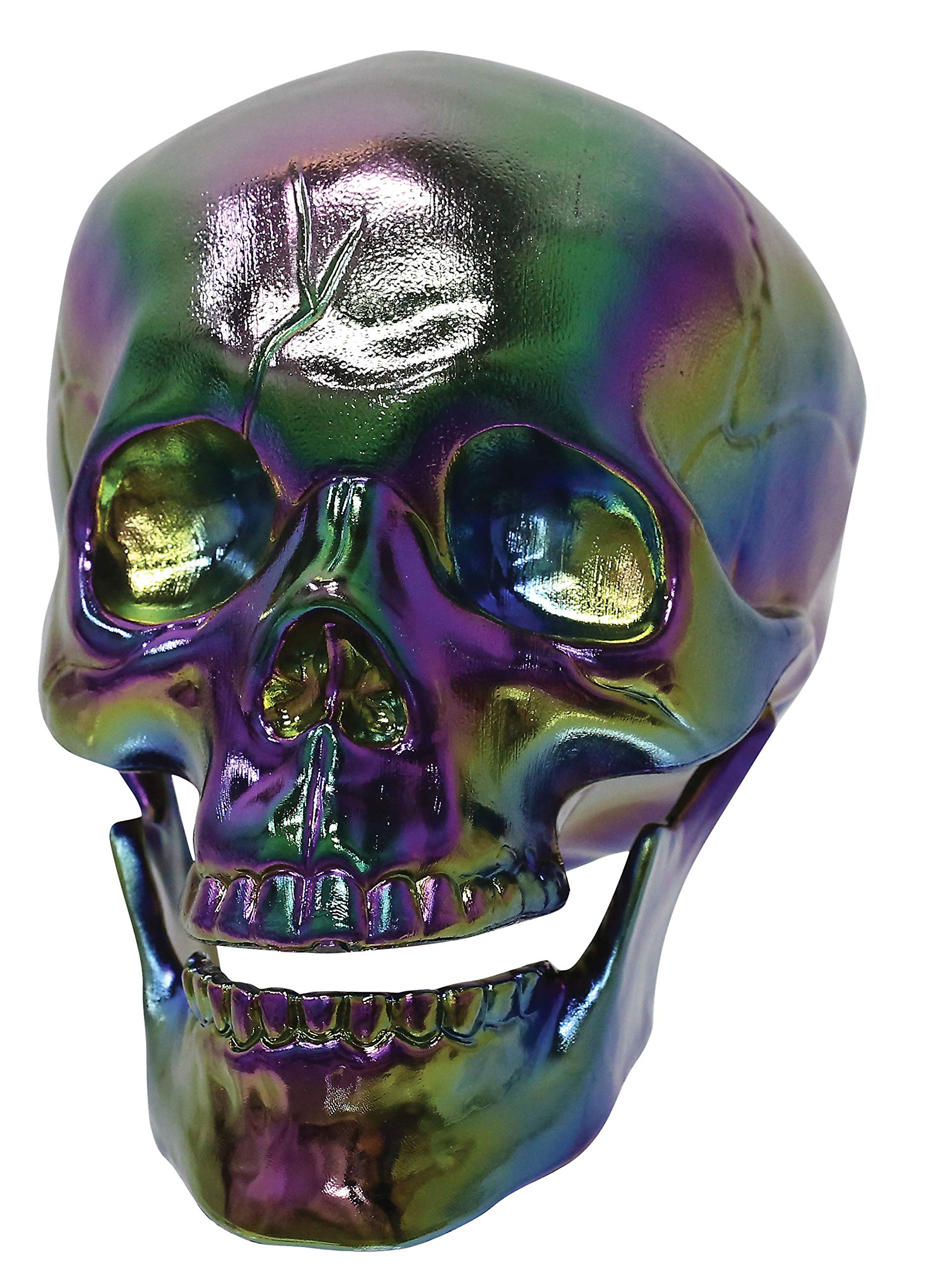 Amazon.com: Crazy Bonez Oil Slick Skull : Toys & Games