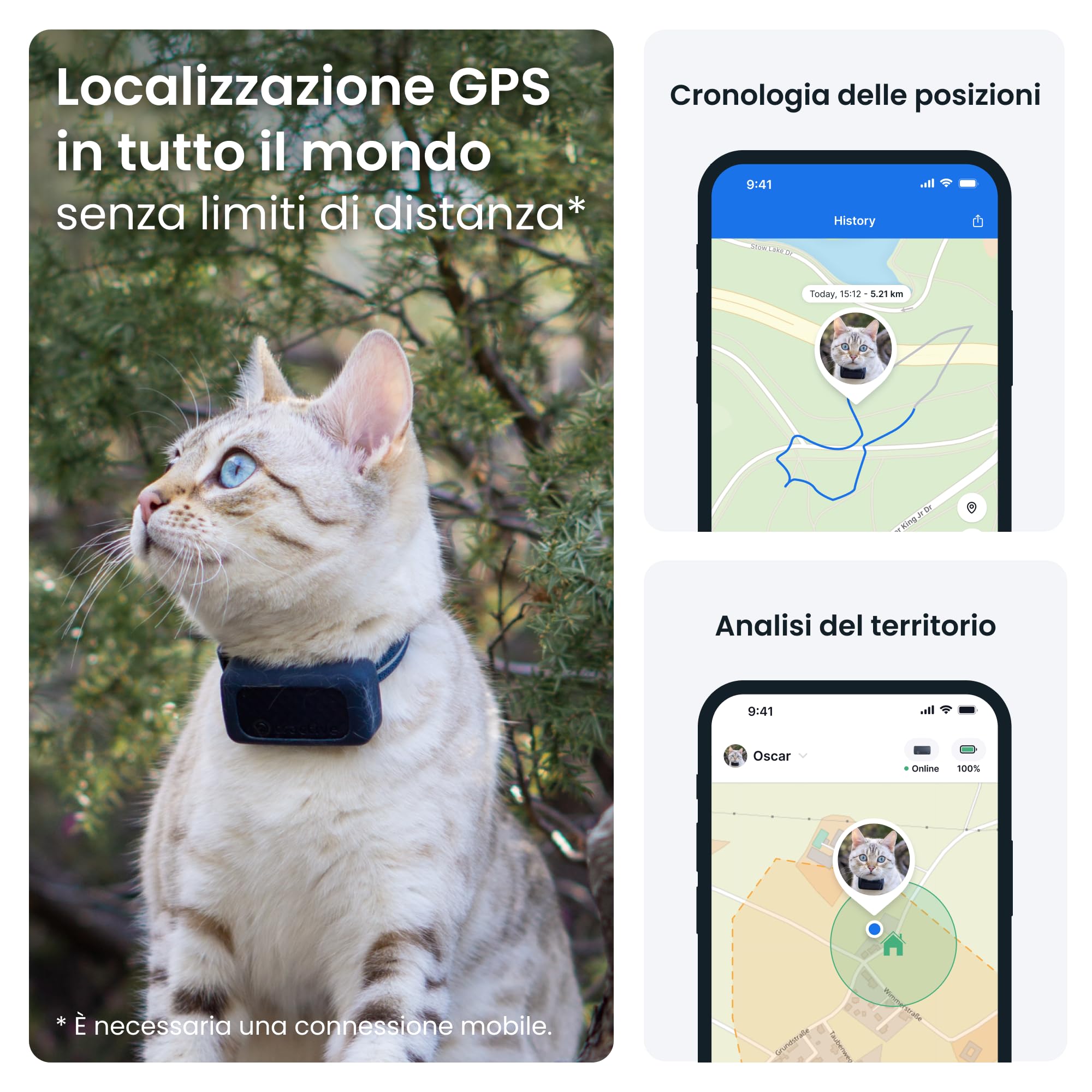 Tractive - GPS gatto modello Mini | N. 1 sul mercato | Localizzazione in tempo reale | Cronologia delle posizioni | Avvisi di salute | Monitoraggio dell'attività | Collare incluso