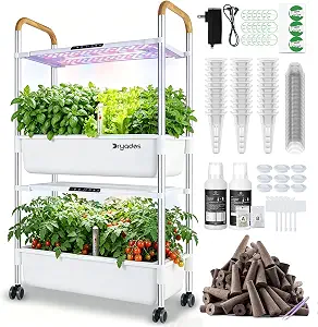 Indoor Hydroponic Growing System with 54 Pods and 30W LED Grow Light, 2-Layer Floor-Standing Herb and Vegetable Garden Kit