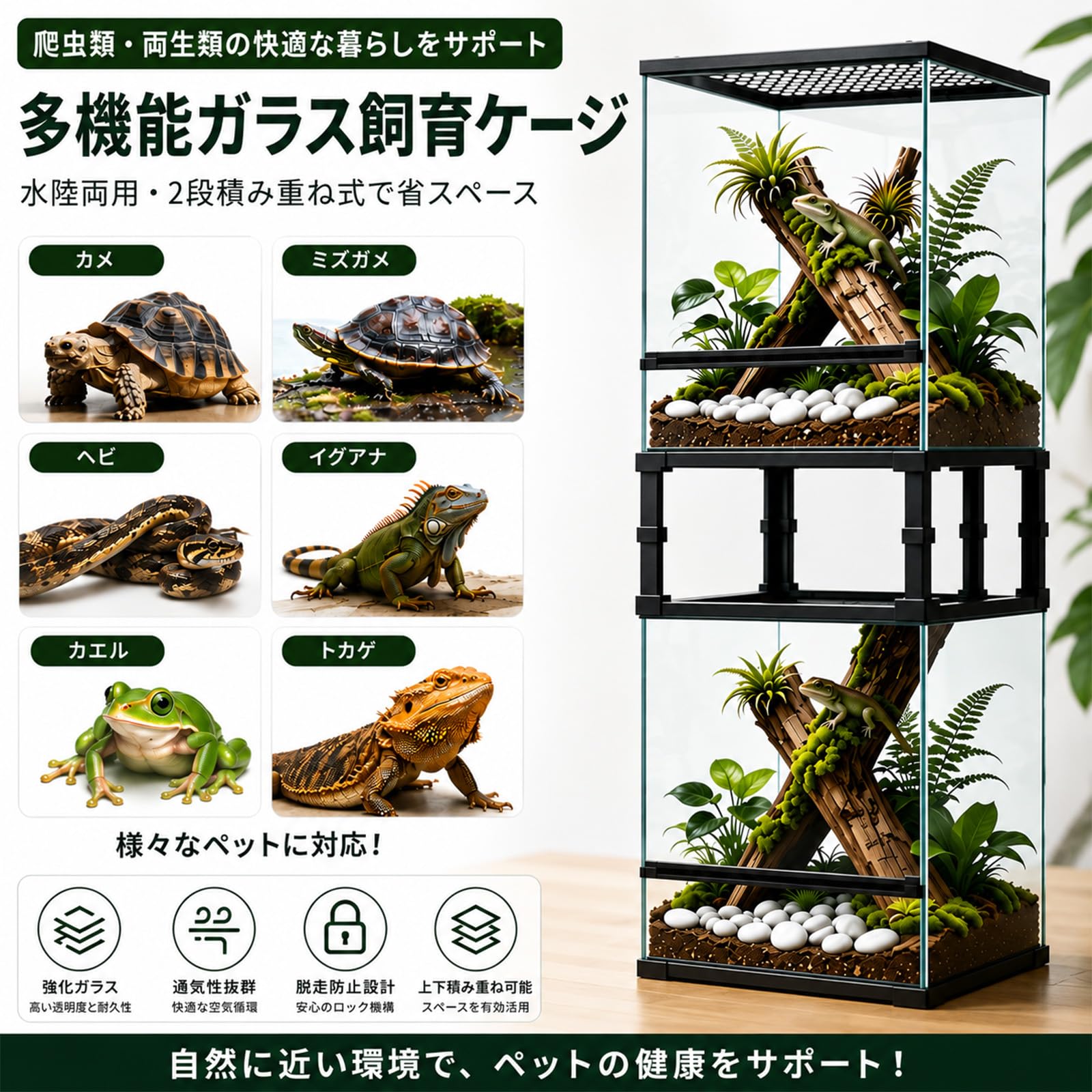 Amazon | 爬虫類 ケージ ガラス製 両開き 飼育ケース 10段積み重ね可能