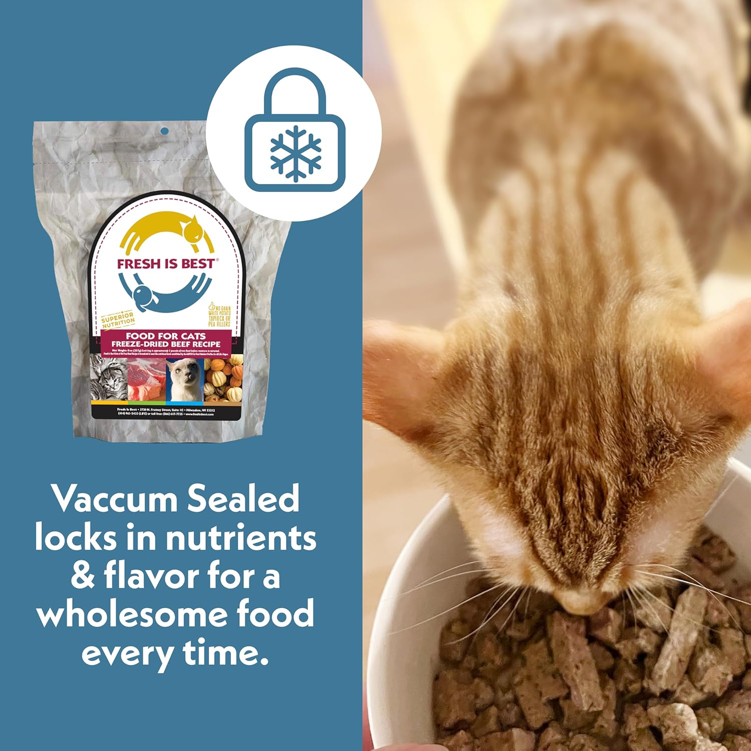 Fresh Is Best Beef Freeze Dried Cat Food – Raw Cat Food for Kittens & Adult Felines – High-Protein Freeze Dried Beef in Resealable Zipper Bag – Made in the USA – 8 oz