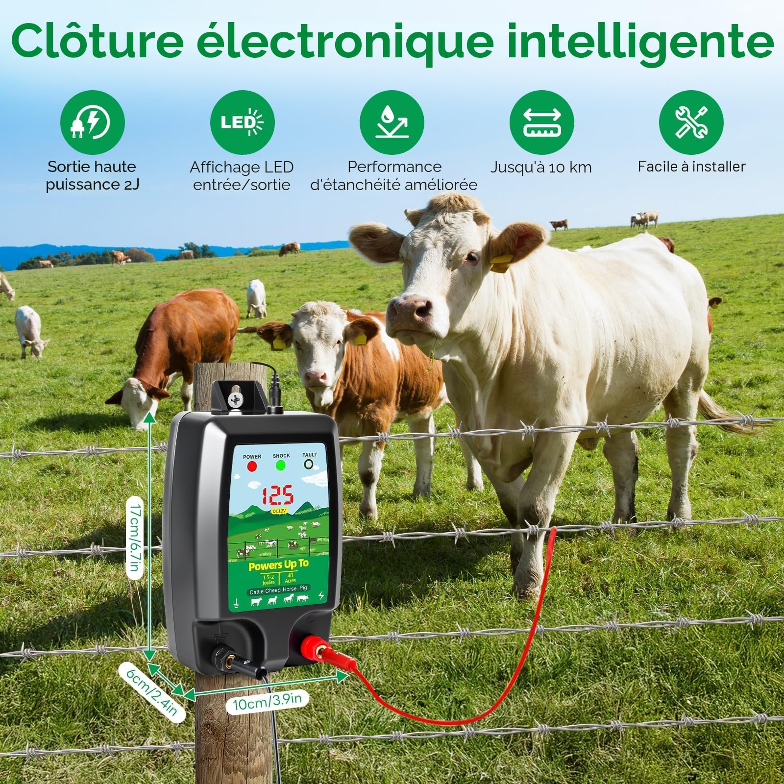 Dispositif de clôture électrique 12 V avec affichage LED, portée 15 km, 2 Joules, 12 kV, pour la protection des animaux de ferme, de la volaille, des pâturages et des jardins (B)