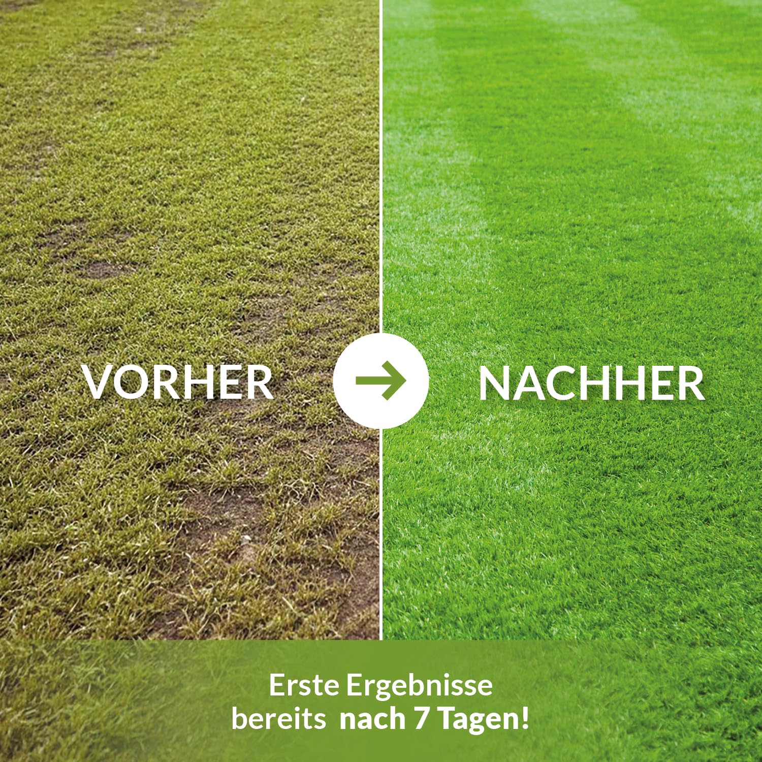 TerraDomi Rasendünger Sommer 20kg NPK 15-15-15 für 1000 m² | Idealer Dünger bei Hitzestress mit Langzeitwirkung - verdrängt Moos - streuwagengeeignet - staubarm & mit extra Schwefel