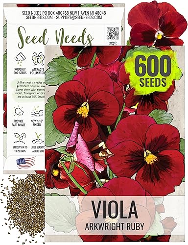 Seed Needs, Arkwright Semillas de viola rubí  600 semillas tradicionales para plantar viola cornuta  Plantas anuales de flores rojas para atraer