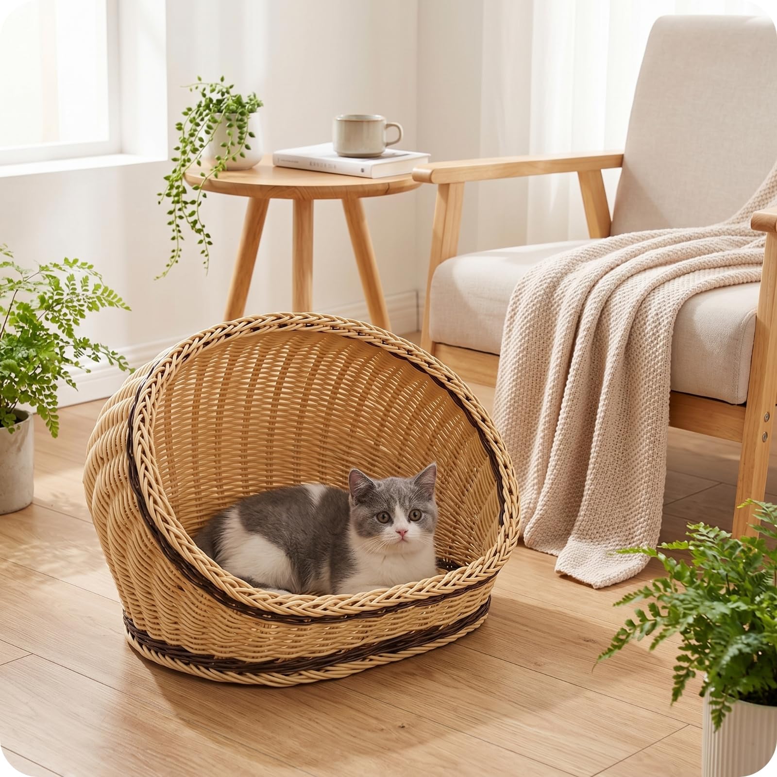 Semi Chiusa Cuccia in Fibra Intrecciata Materiali Ecologici Cuccia a Grotta per Cani Piccoli, Beige, L