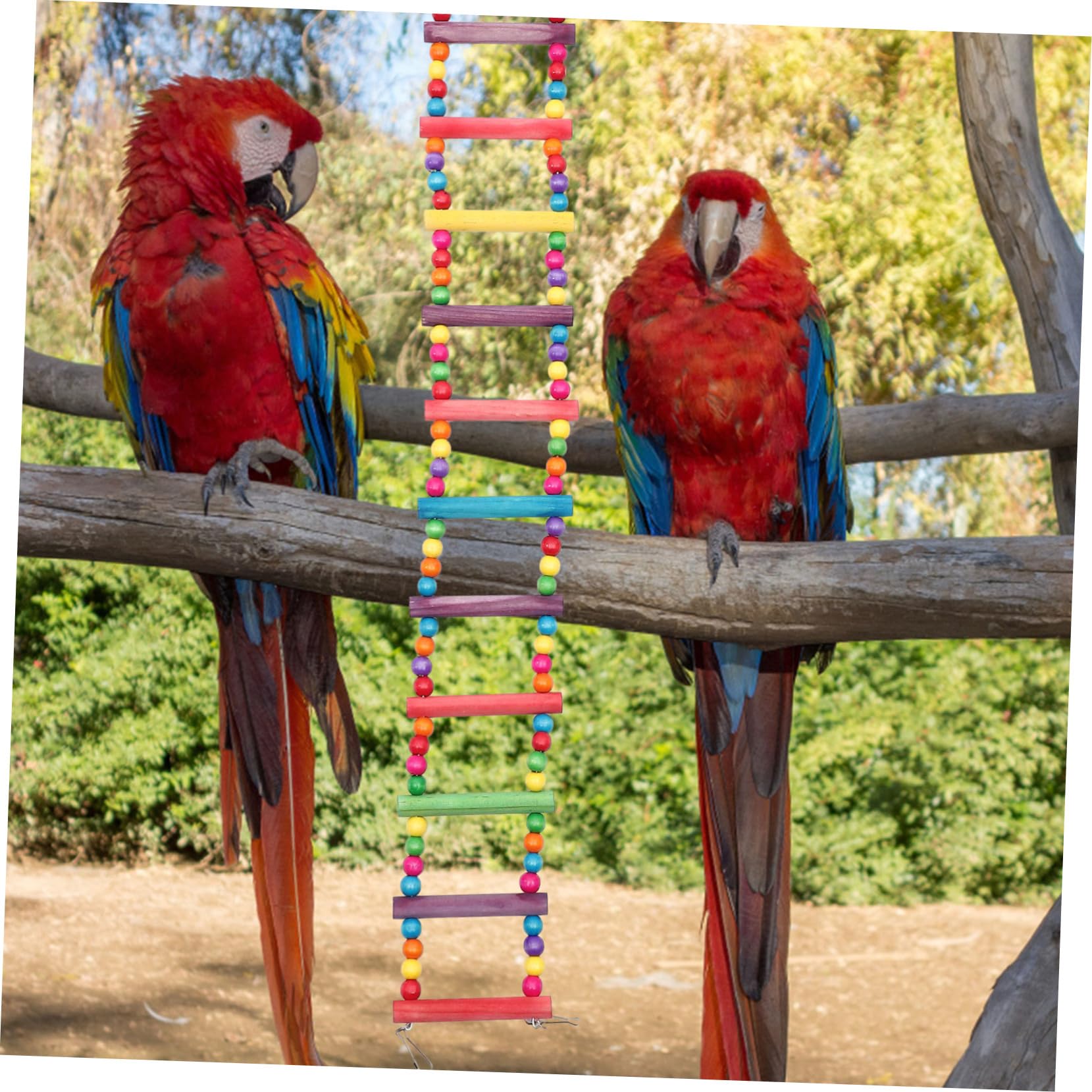 SUPVOX 2piezas Escalera De Juguete para Aves Perlas De Accesorio para Periquitos Cacatúas y Lovebirds Jaulas Juguete para Masticar y Escalar