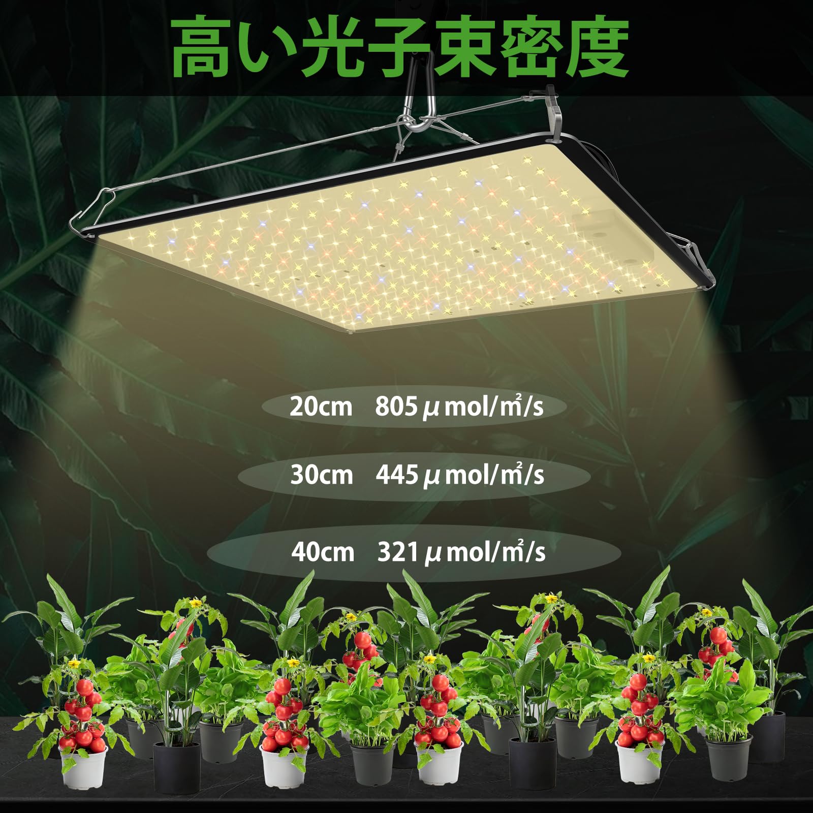 Amazon.co.jp: 植物育成ライト : DIY・工具・ガーデン