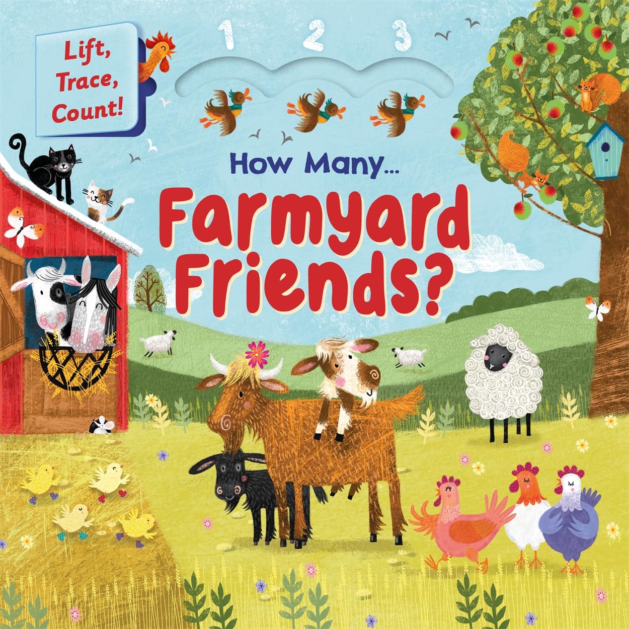 How Many Farmyard Friends? (Touch-and-trace lift-the-flap book)