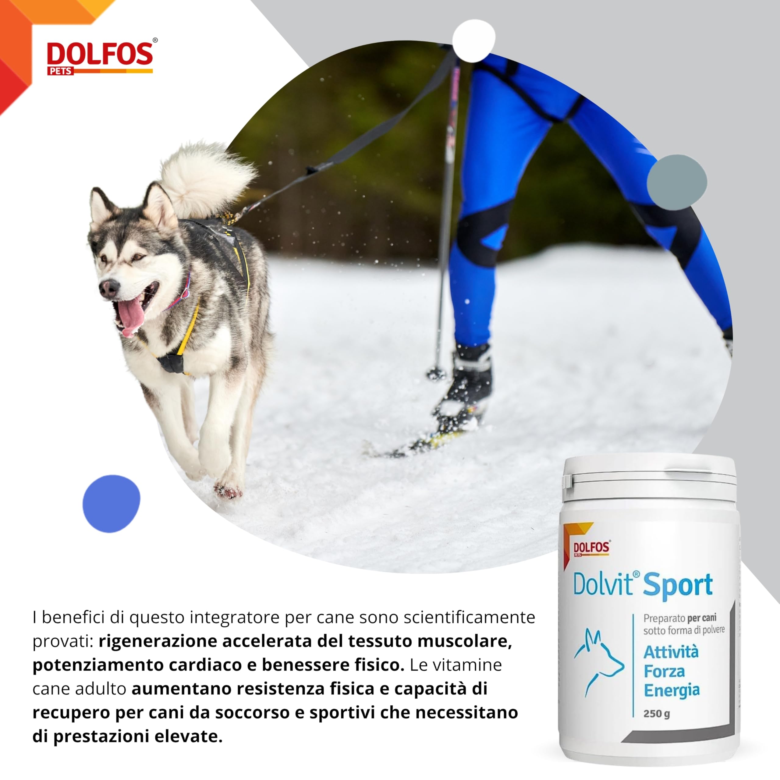 Dolvit Sport Integratore per Cani da Caccia, Sportivi o da Lavoro Multivitaminico - 250 Grammi Polvere - Consigliato per Dog Agility e Cani da soccorso