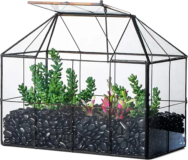 Terrario geométrico negro con tapa para suculentas y cactus - Decoración moderna