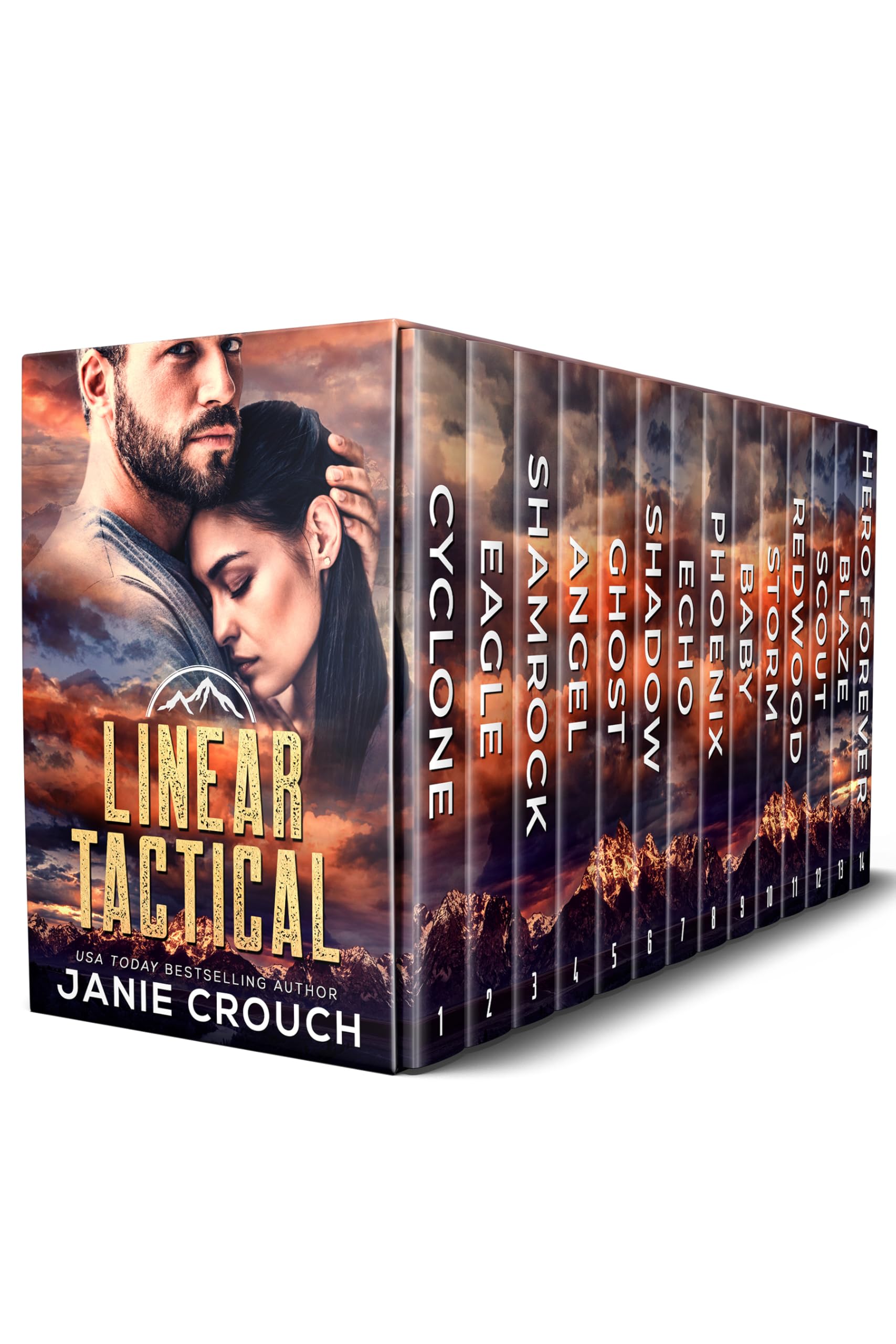 Linear Tactical Box Set: Full Series - 14 books (English Edition)