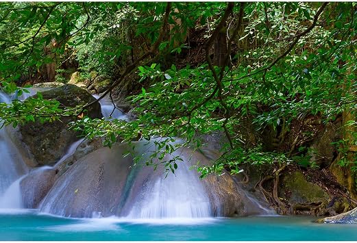 Waterfall Aquarium Background Jungle Forest Stream Fish Tank Background Rock Falls Green Trees Reptile Tank Backgrounds Natural Waterfall Forest Landscape Aquarium Backgrounds Wallpaper 24x12in