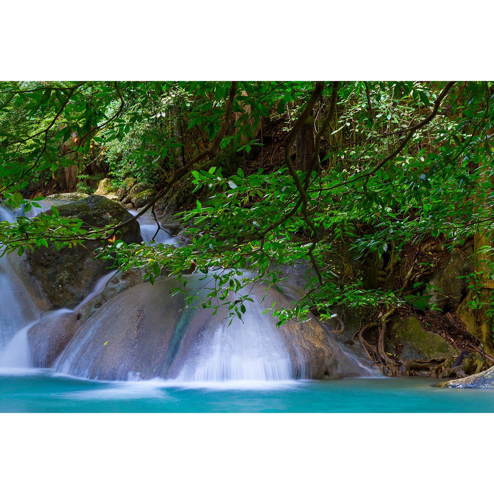 Waterfall Aquarium Background Jungle Forest Stream Fish Tank Background Rock Falls Green Trees Reptile Tank Backgrounds Natural Waterfall Forest Landscape Aquarium Backgrounds Wallpaper 72x16in