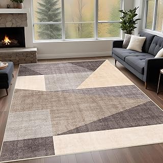 Washable Modern Area Rug: 5x7 Geometric Area Rugs for Living Room & Bedr...