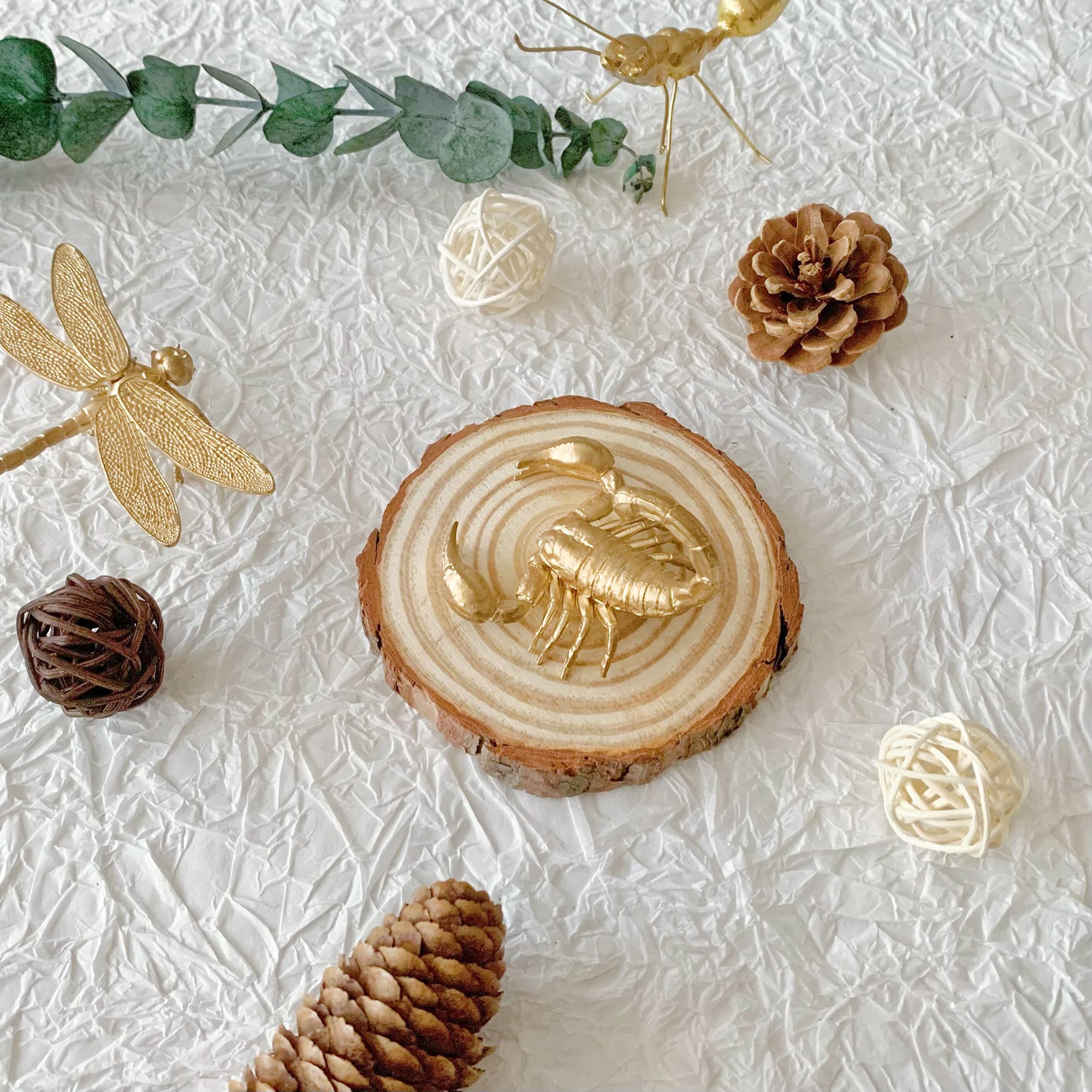 Amazon.co.jp: Pasiir ゴールド サソリ 置物 ホームデコレーション