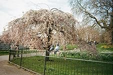 Review Image by Olivia W Olivia W