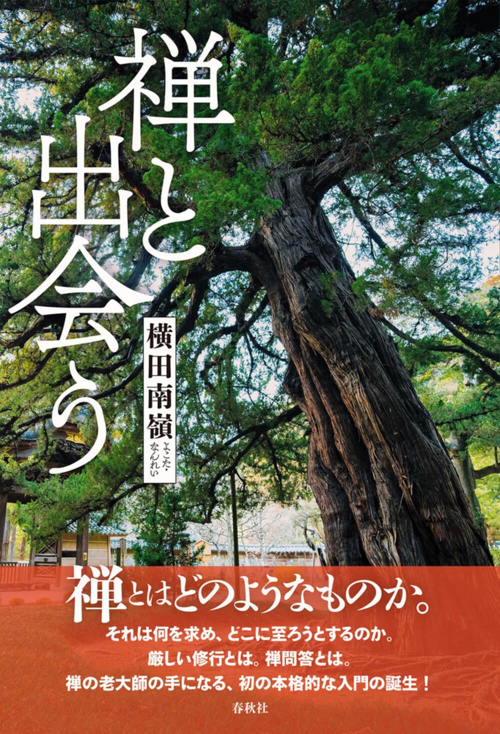 禅と出会う | 横田 南嶺 |本 | 通販 | Amazon
