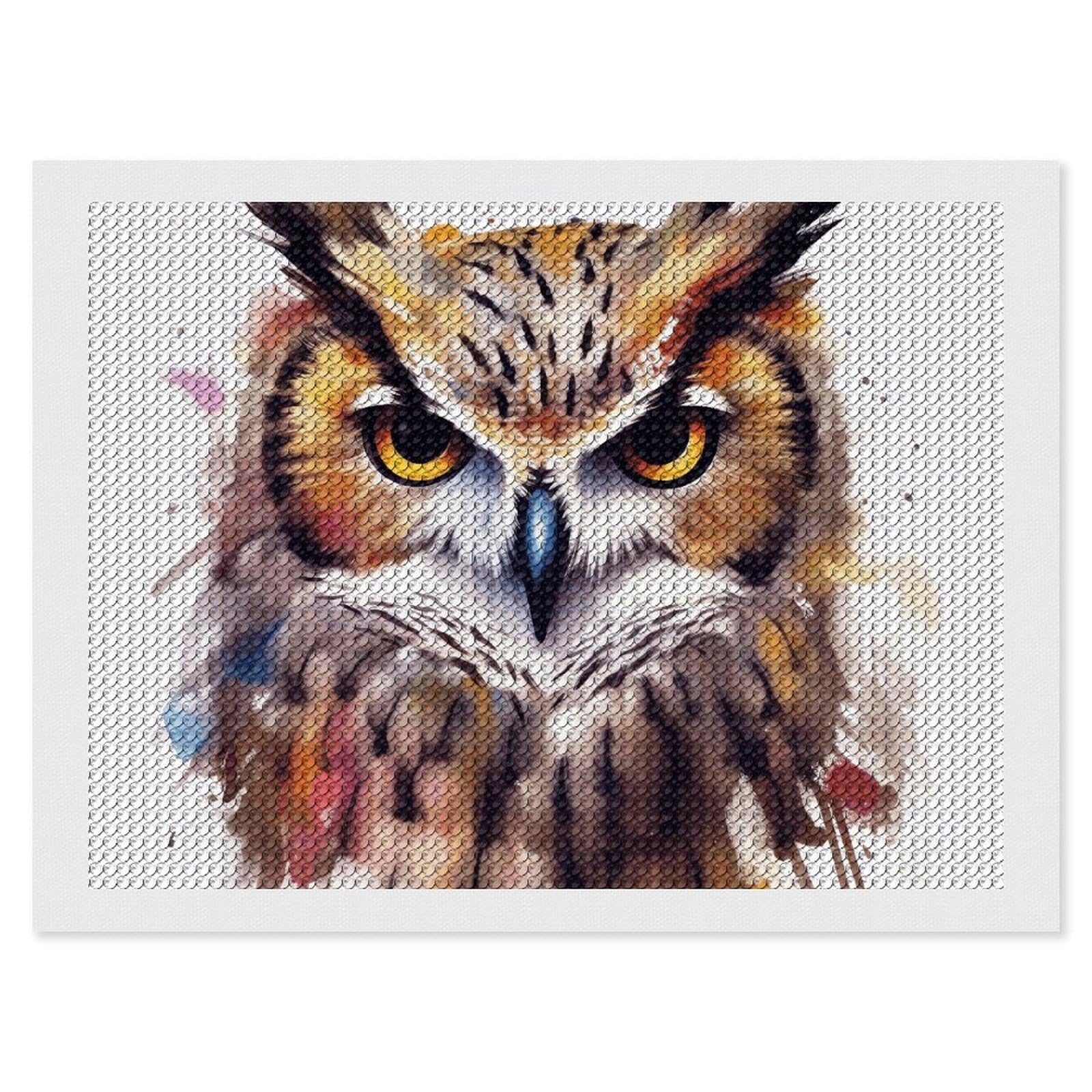 Diamond Painting Kits for Adults - DIY Diamond Art Kits for Beginners - Full 5D Paint Drill Diamond Dots Paintings- Watercolor Cool Owl Head Diamonds Pictures Gem Art And Craft Wall Decor 12"x16"