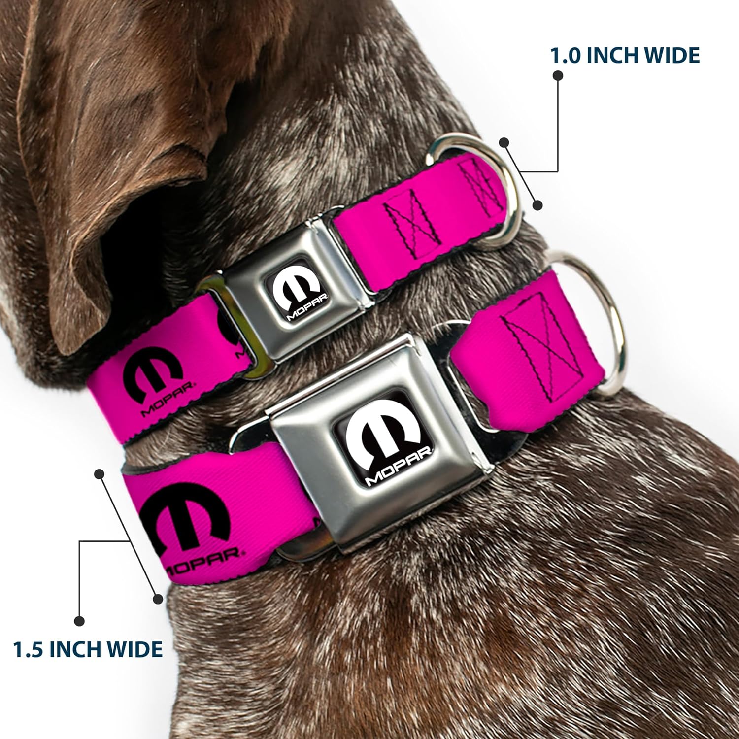 Buckle-Down Dog Collar Seatbelt Buckle Mopar Logo Repeat Hot Pink Black 13 to 18 Inches 1.5 Inch Wide, Multicolor, 1.5"" Wide - fits 13-18"" Neck - Small (DC-WMP013-WS)
