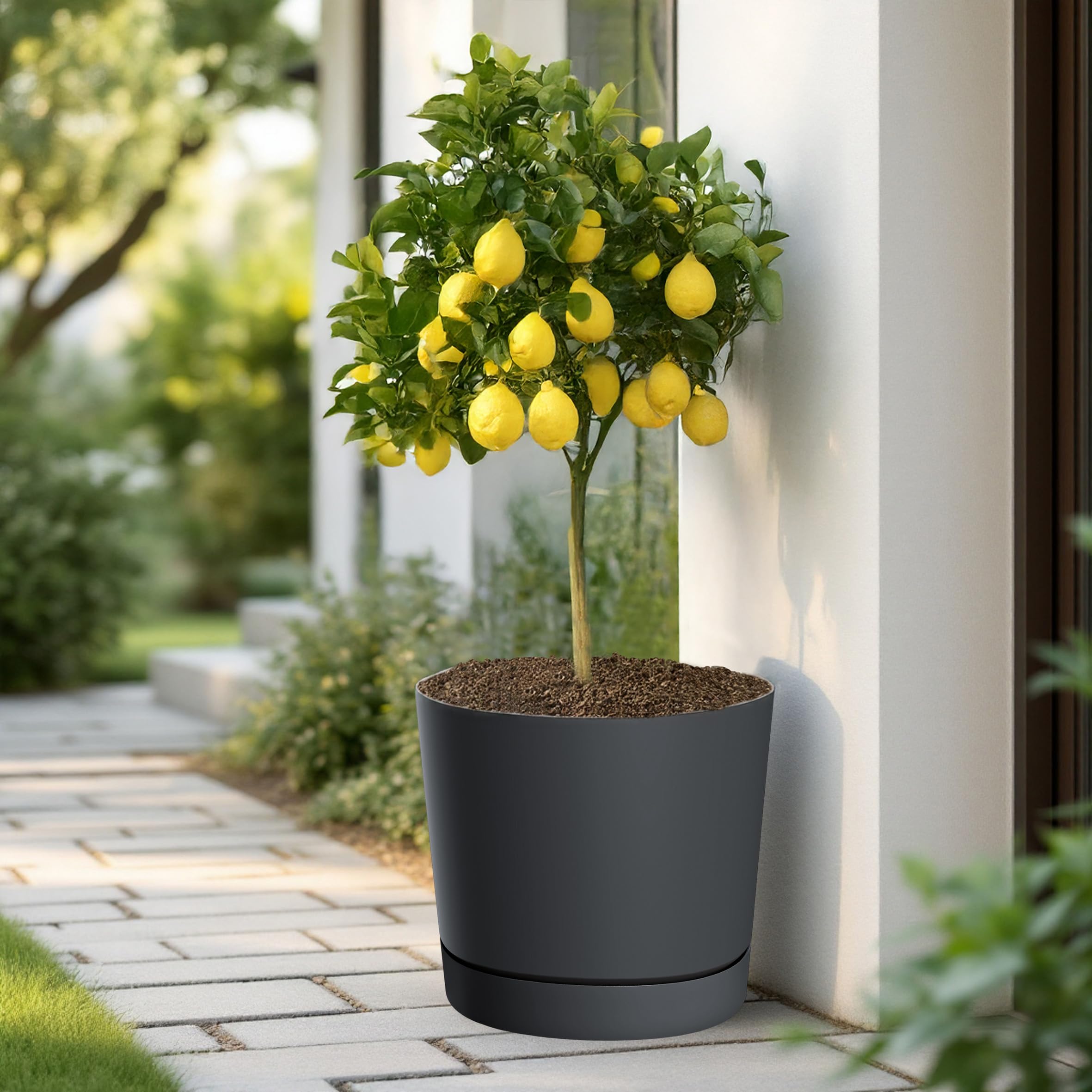 Spetebo XL Kunststoff Pflanzkübel mit Untersetzter rund anthrazit Ø 47 cm | Blumenkübel groß, abnehmbarer Boden, UV-beständig, frostbeständig