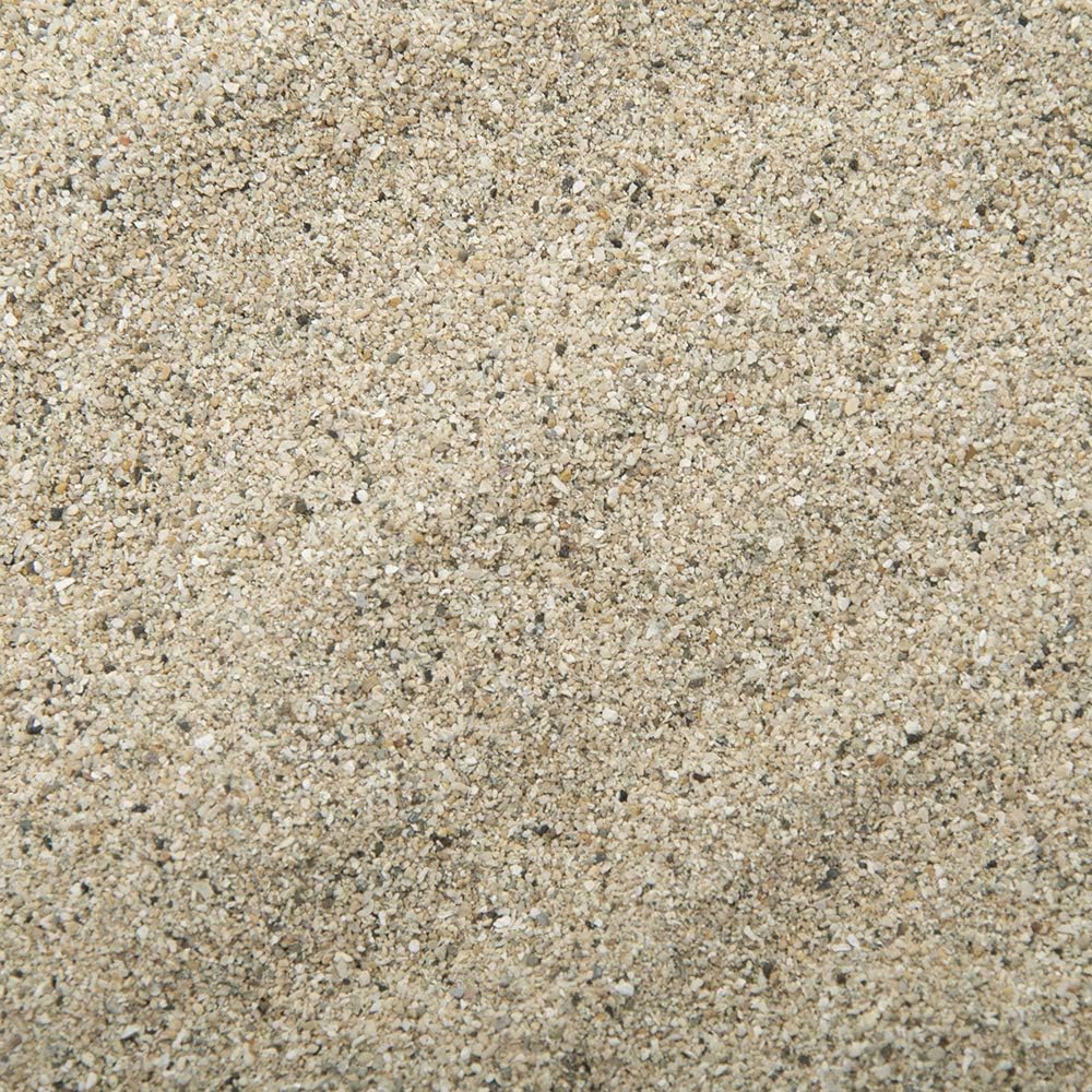 未洗浄 サンゴ砂 パウダー ０ ９ｌ 海水水槽用底砂 お一人様１点限り 底床