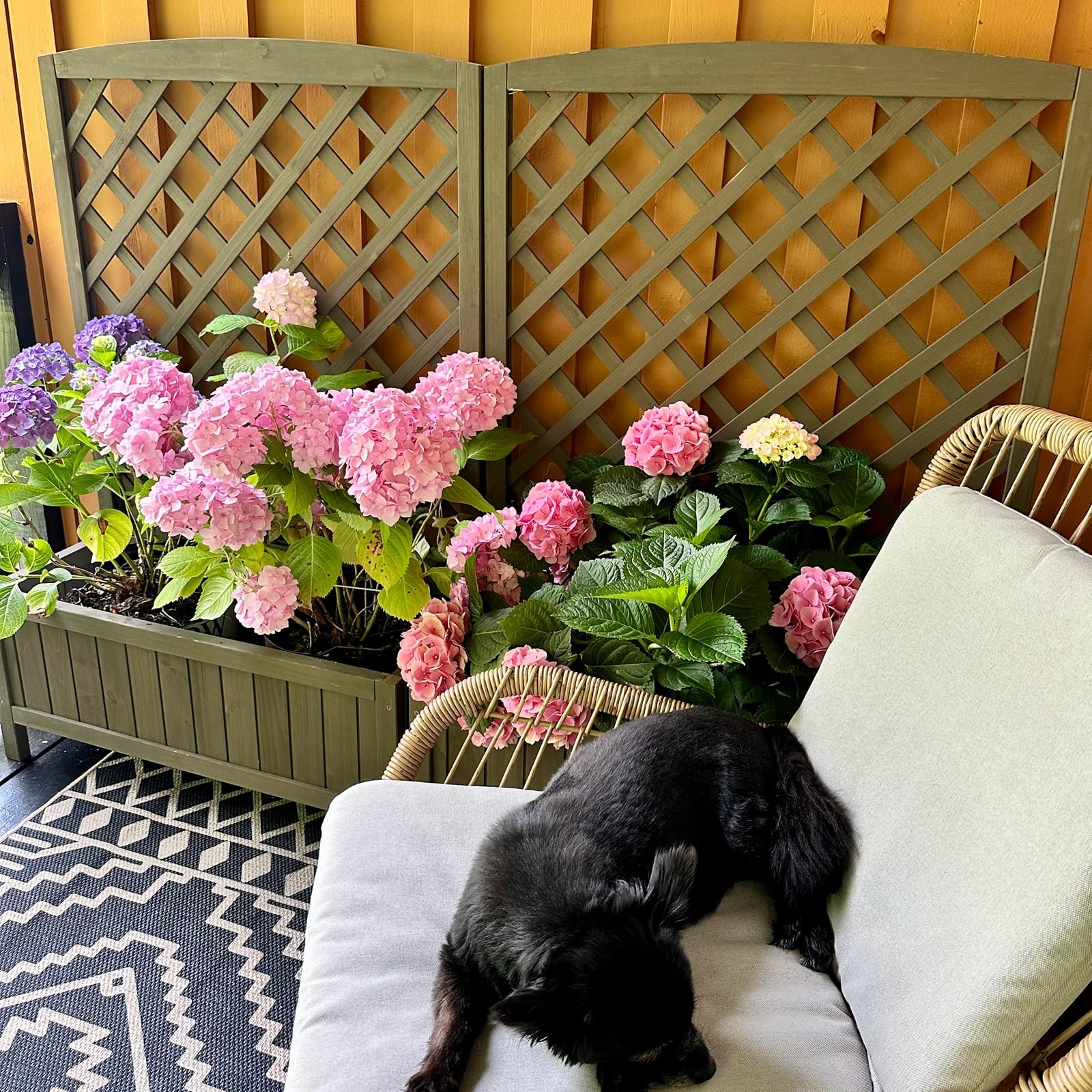 Leepesx Jardineras 2 Uds, Arriate, Macetas Para Flores Y Plantas, Macetero  Exterior, Arriate Huerto, Huerto Domestico, Madera Maciza De Pino Gris  31x31x31 Cm, image size:1600x1600