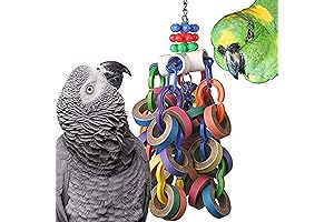 Super Bird Creations SB1107 Bagel Cascade Bird Toy for Medium Birds