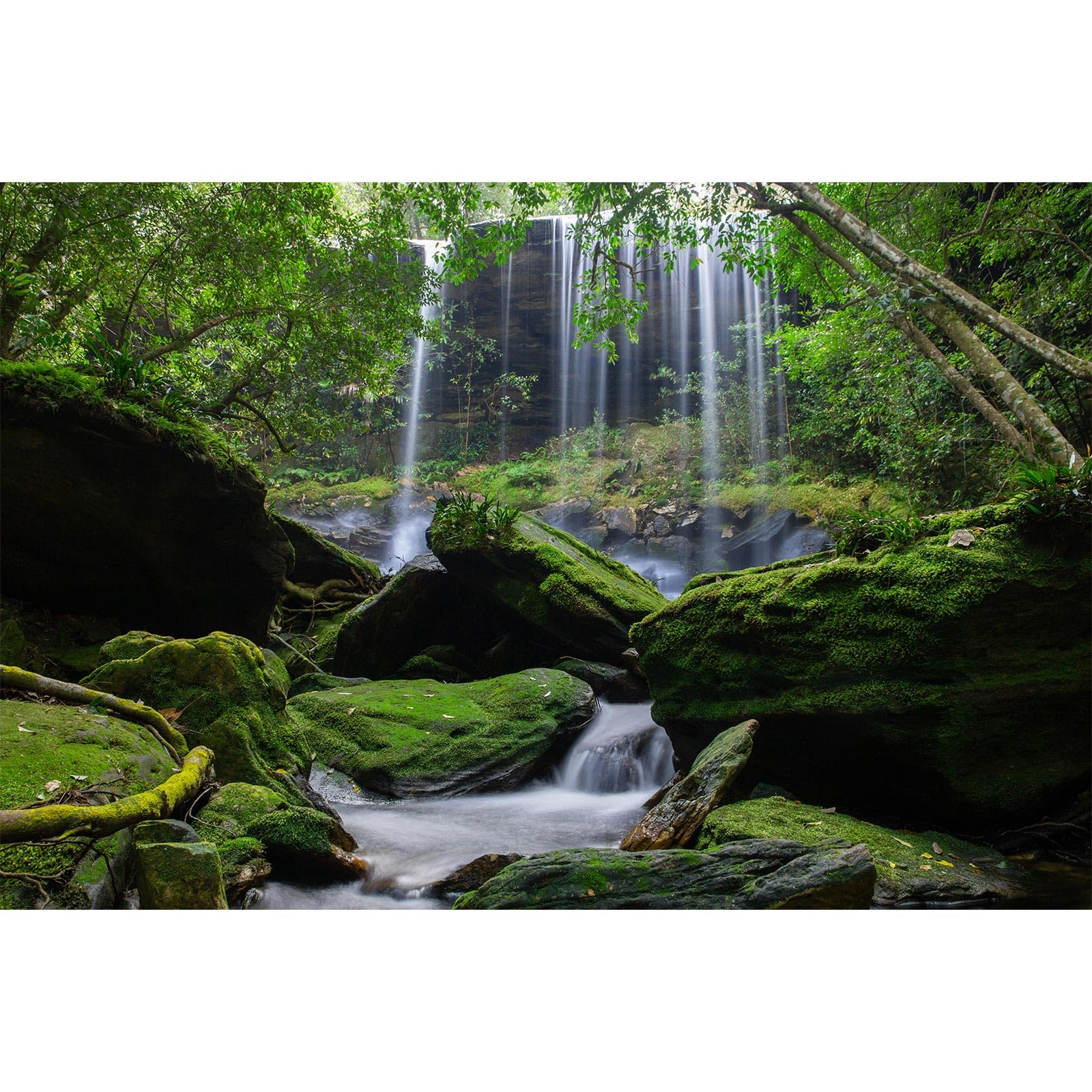 Waterfall Aquarium Background Jungle Forest Lake Stream Natural Landscape Fish Tank Background Tropical Plants Huge Rock with Moss Reptile Tank Backgrounds Jungle Trees Reptile Backgrounds 24x16in