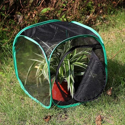 Miniatura 41 de RESTCLOUD - Jaula de hábitat para insectos y mariposas, 23.6 pulgadas de alto Blanco con verde