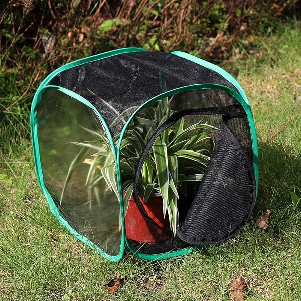 RESTCLOUD Insetto e Farfalla Habitat Cage Terrarium Pop-up 32 x 30 x 30 cm - 3