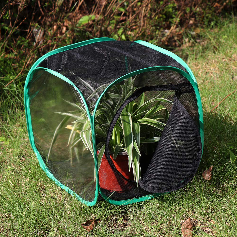 RESTCLOUD Insetto e Farfalla Habitat Cage Terrarium Pop-up 32 x 30 x 30 cm - 4