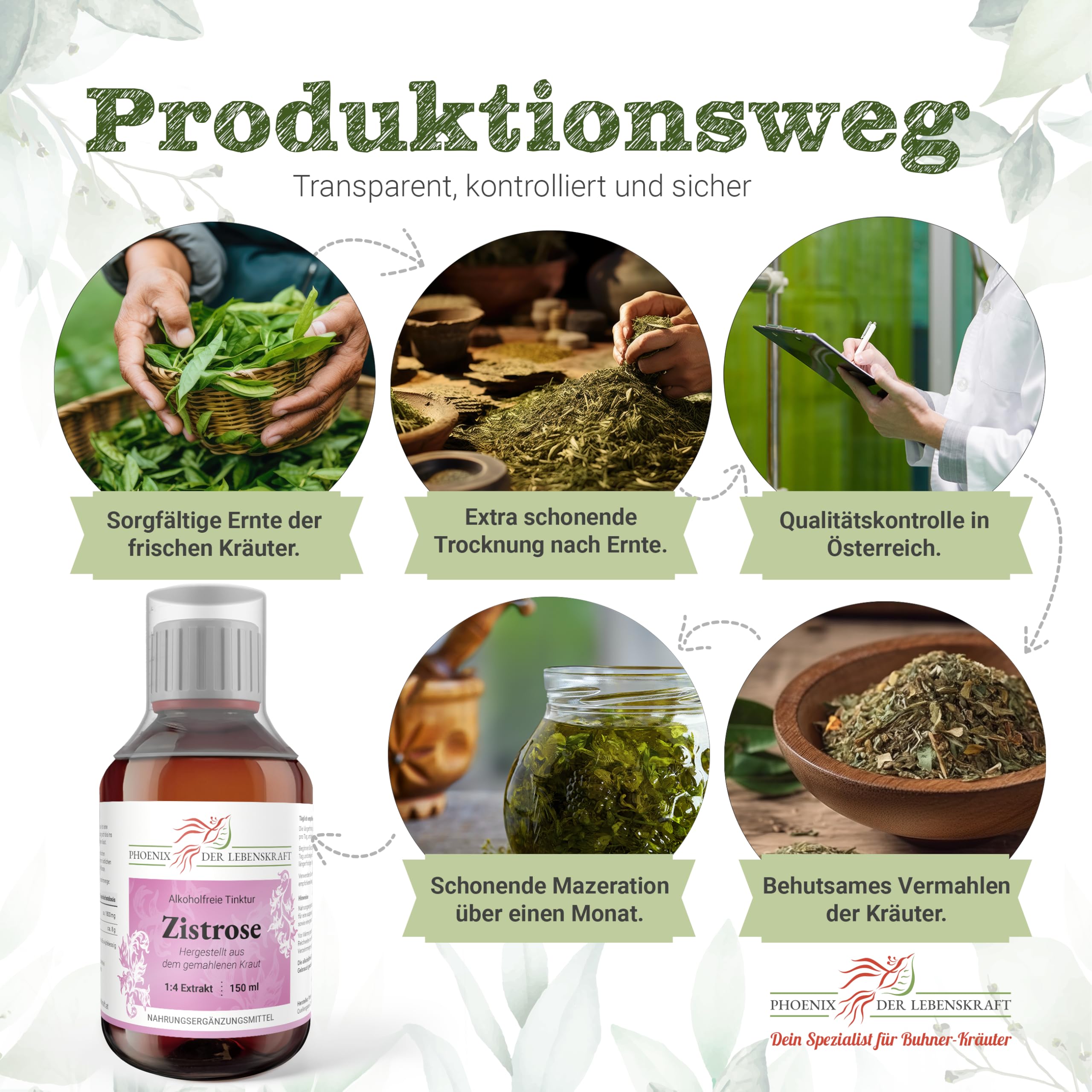 Zistrose Tinktur (alkoholfrei), 150 ml, Cistus incanus Tropfen (1:4 Extrakt), Premium Qualität, Hergestellt in Österreich, Nahrungsergänzungsmittel, Cistrose, Vegan