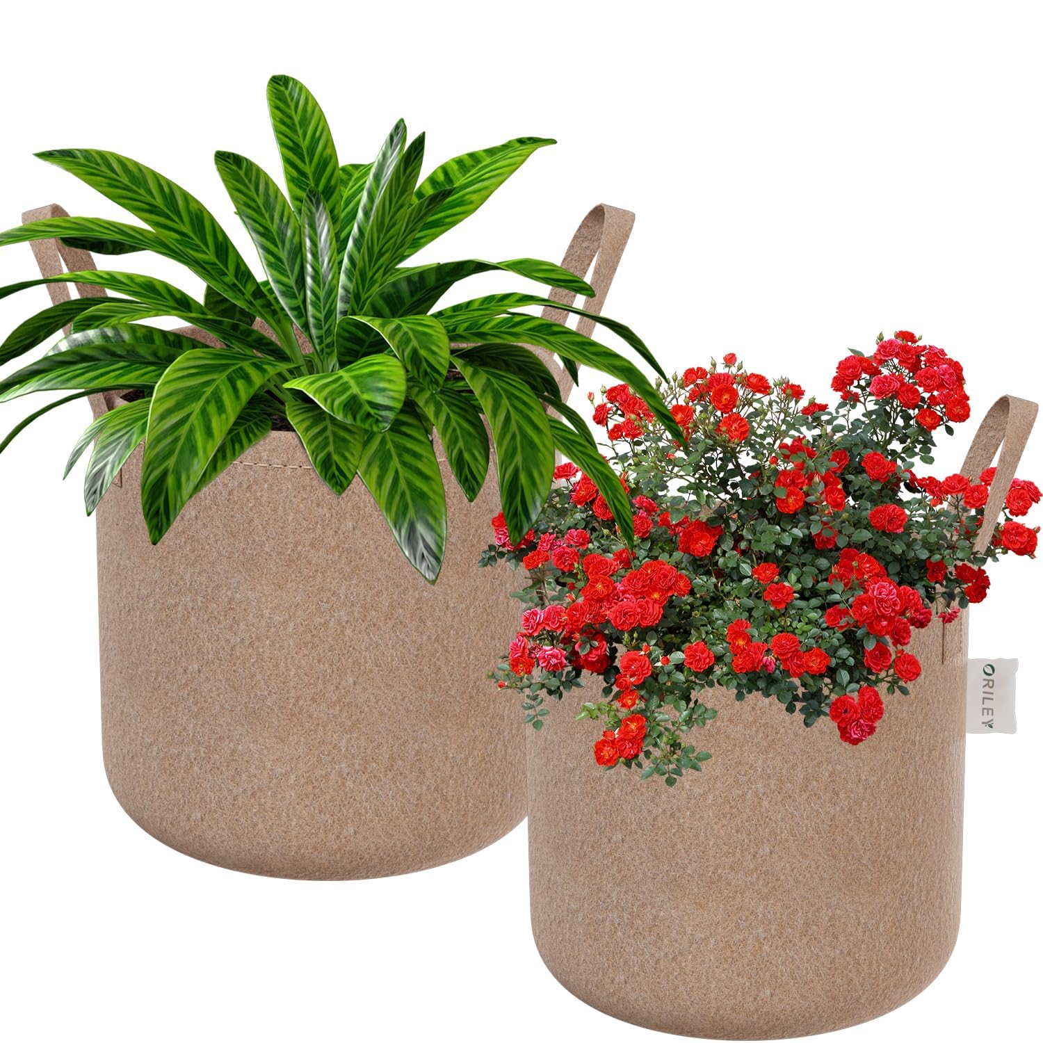 ORILEY Grow Bag Heavy Duty Geo Fabric Plant Pot with Sturdy Handles Lightweight Bags Ideal for Gardening Balcony Terrace (Beige, Round, 400 GSM 15 x 15 inch Pack of 2) (B0BX2YDTKG) Amazon Price History, Amazon Price Tracker