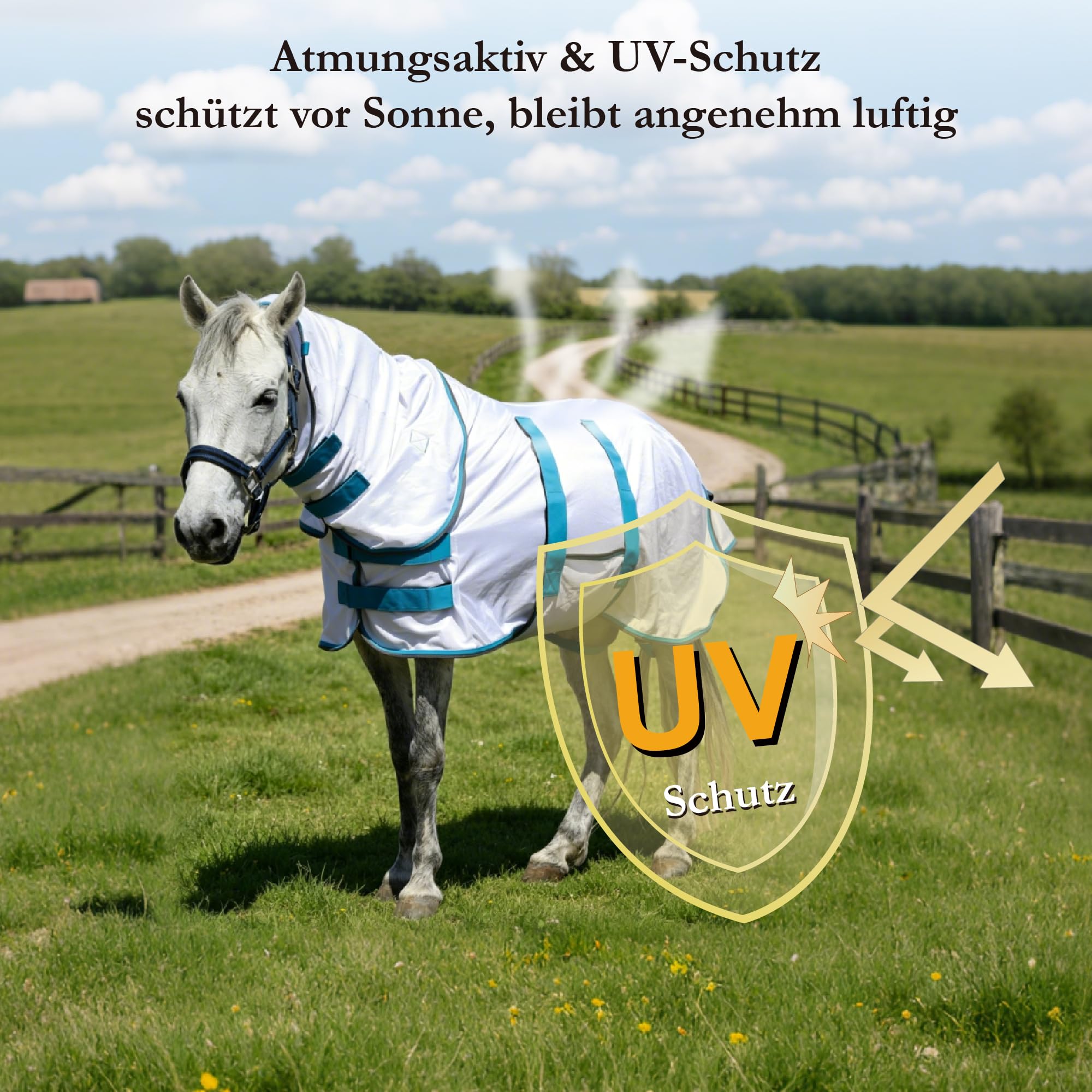 Couverture anti-mouches pour poney avec partie détachable pour le cou, respirante et légère, confortable, couverture d'été pour mini-, shetty- et poneys nains, sangles de poitrine et