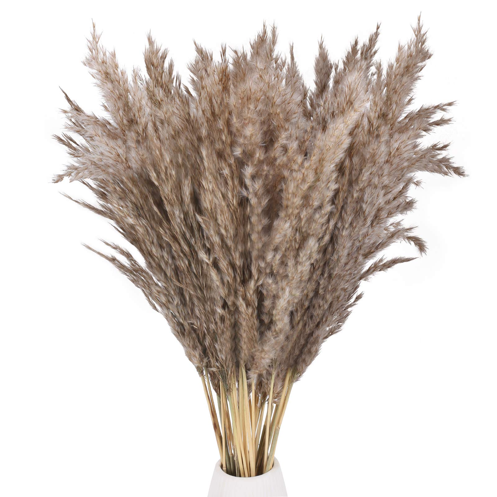 GTIDEA Pampas