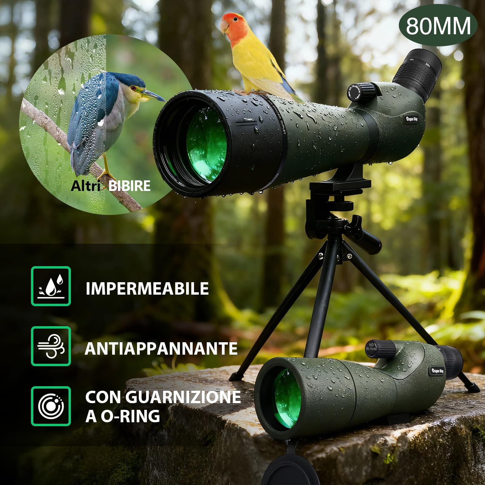BIBIRE HD-Spektiv 25-75x80 Winkelspektiv mit Stativ und Smartphone-Adapter für Vogelbeobachtung Wildbeobachtung Jagd