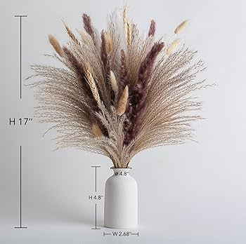 ドライフラワー　⑥ ブラウンパンパスグラス pampas22-6.jpg