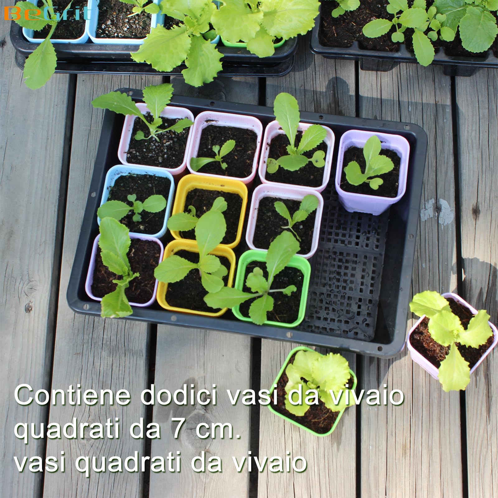 BeGrit 10 Pezzi Vassoi Semina Plastica 32 x 23 x 7.5 cm Germinazione Semina Vaschette Semenzaio vassoio per microgreens rettangolari semi in plastica per Serra Idroponica Giardino Verdura Frutta Seme