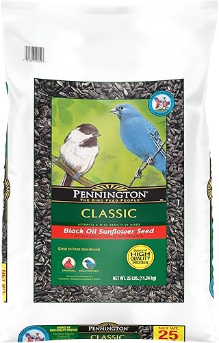 Vista 20 de Pennington - Pride Wild Finch - Mezcla de semillas para pájaros silvestres, 10 libras
