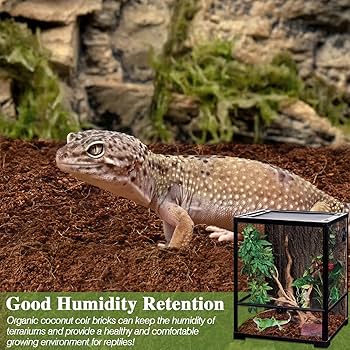 Amazon.com : ZeeDix 10LB Compressed Coconut Fiber Substrate, 100