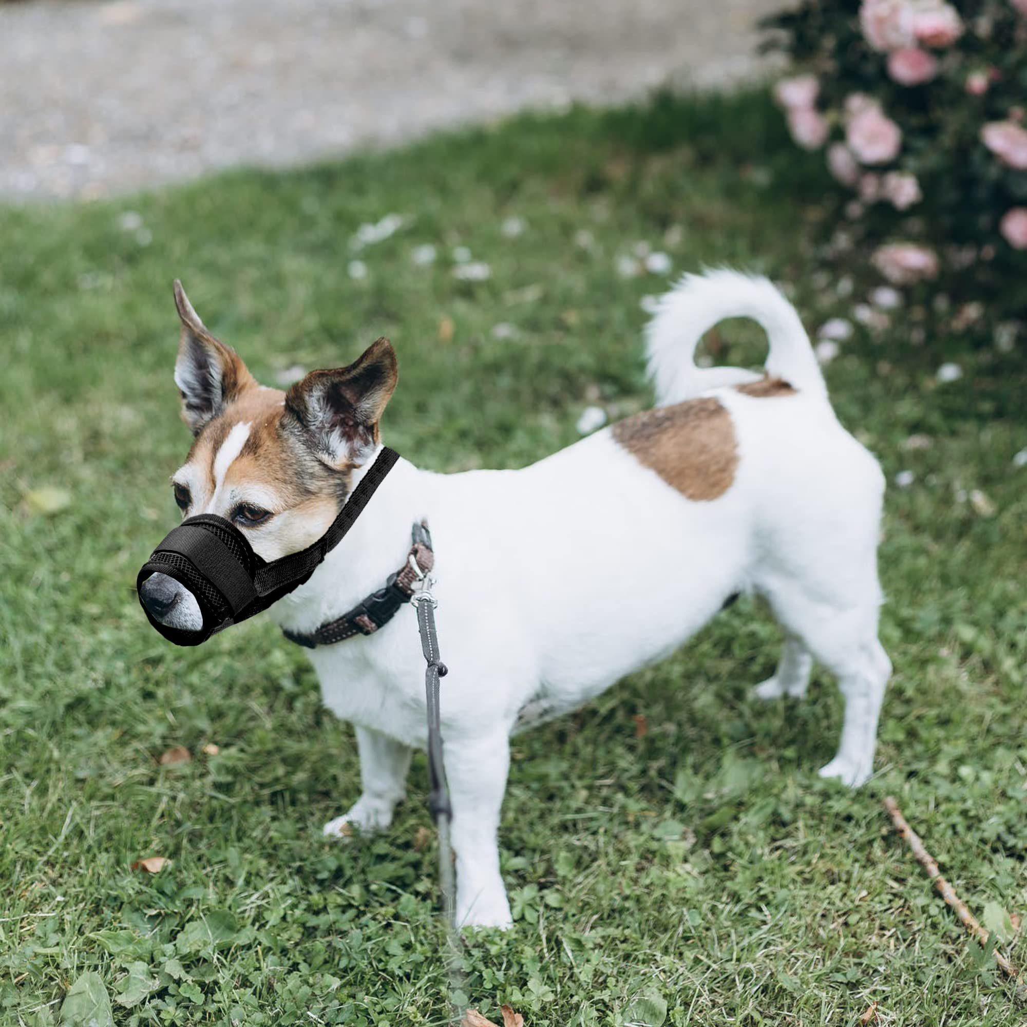YAODHAOD Respirant Muselière en Nylon Réglable pour Chiens, Réglage Rapide de la Muselière, Museliere Anti-Aboiements et Anti-Morsures(L, Noir)