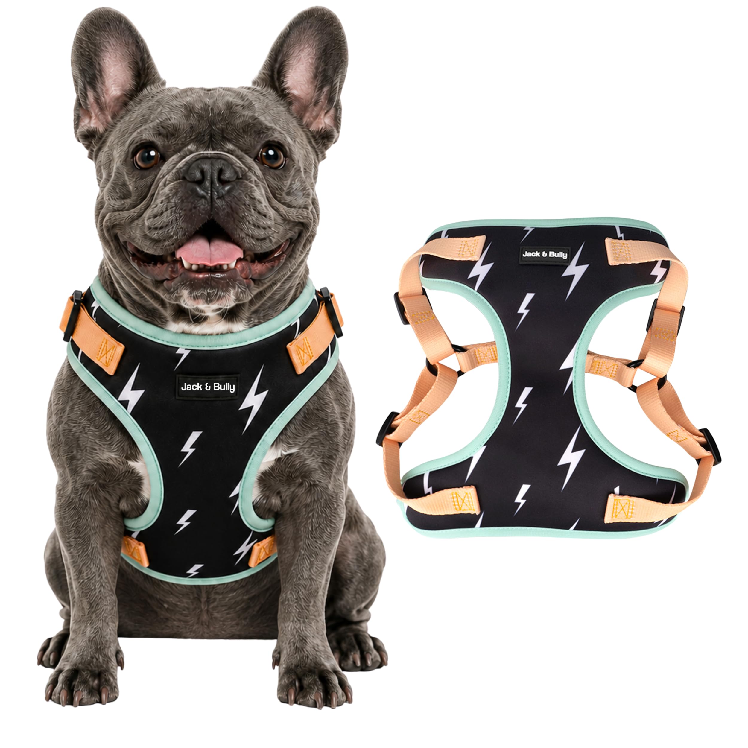 Jack & Bully No Pull Harness