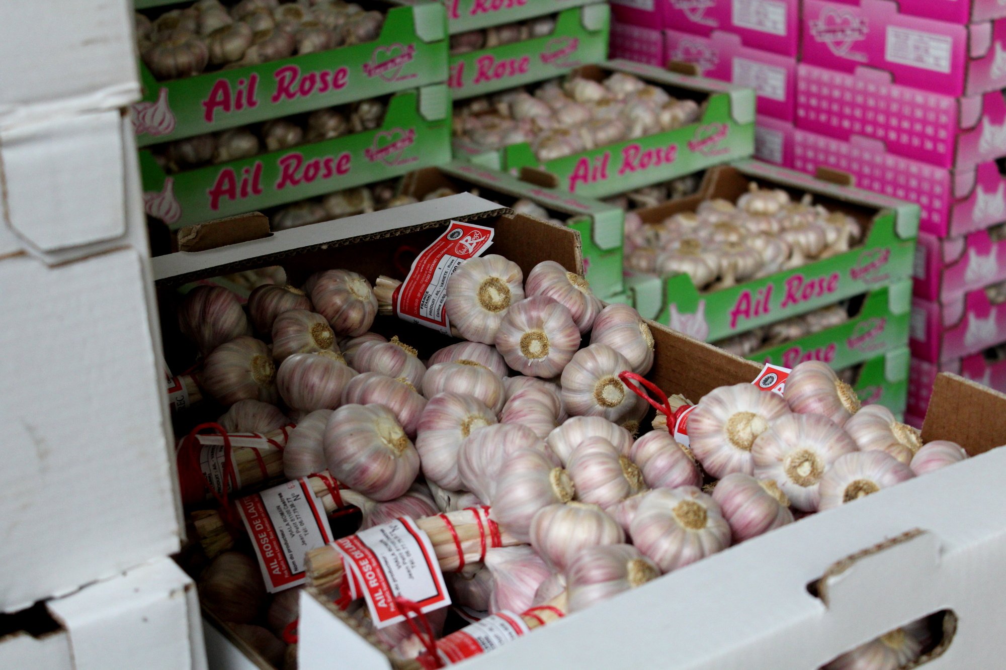 Jemangefrancais Ail Rose de Lautrec - Grappe de 1 kg - Label Rouge et IGP qui viennent protéger un ail d'exception