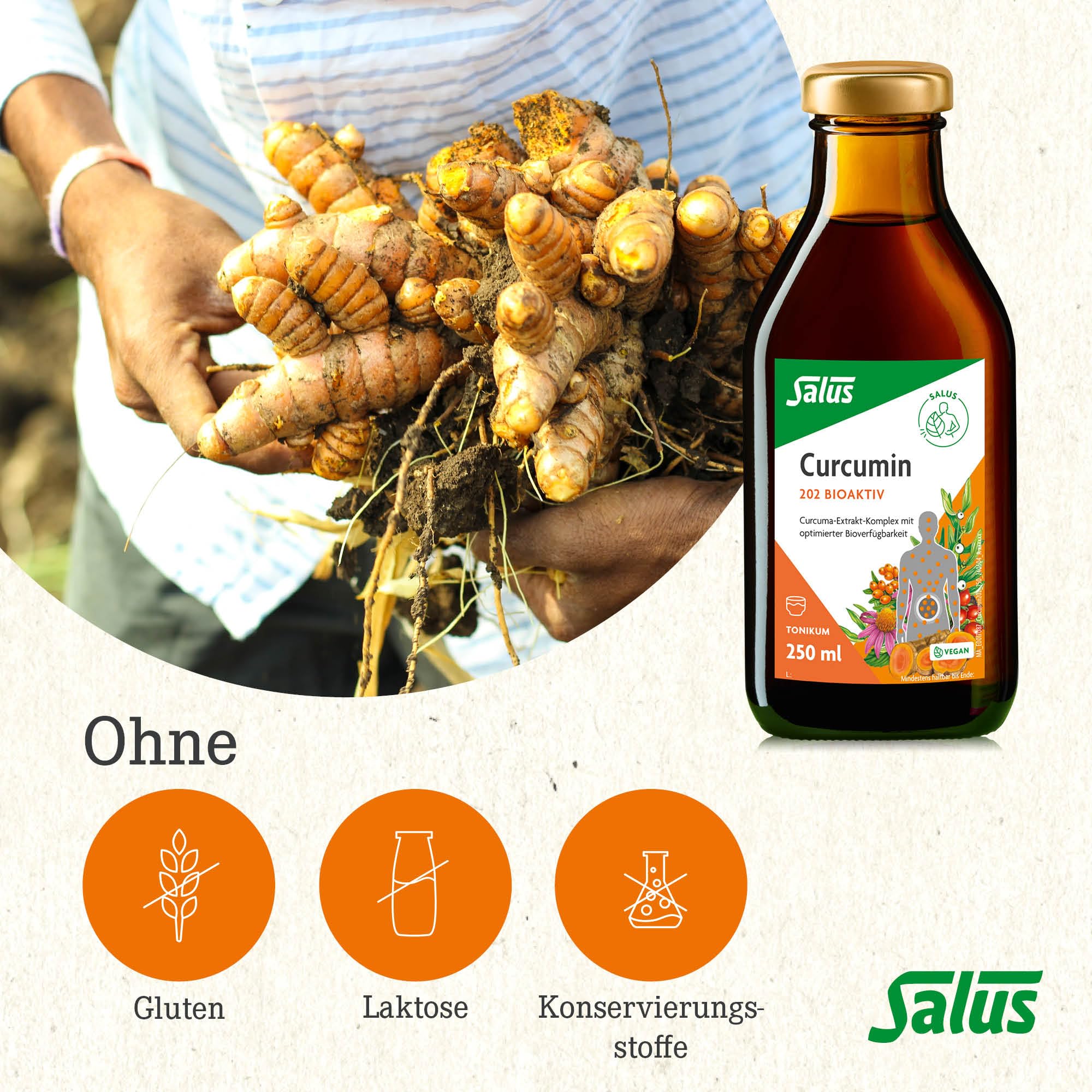 Salus Curcumin 202 Bioaktiv Tonikum – herausragende Bioverfügbarkeit: bis zu 202x bessere Curcumin-Aufnahme – ohne synthetische Polysorbate oder Piperin – mit Vitamin D3 – 250 ml