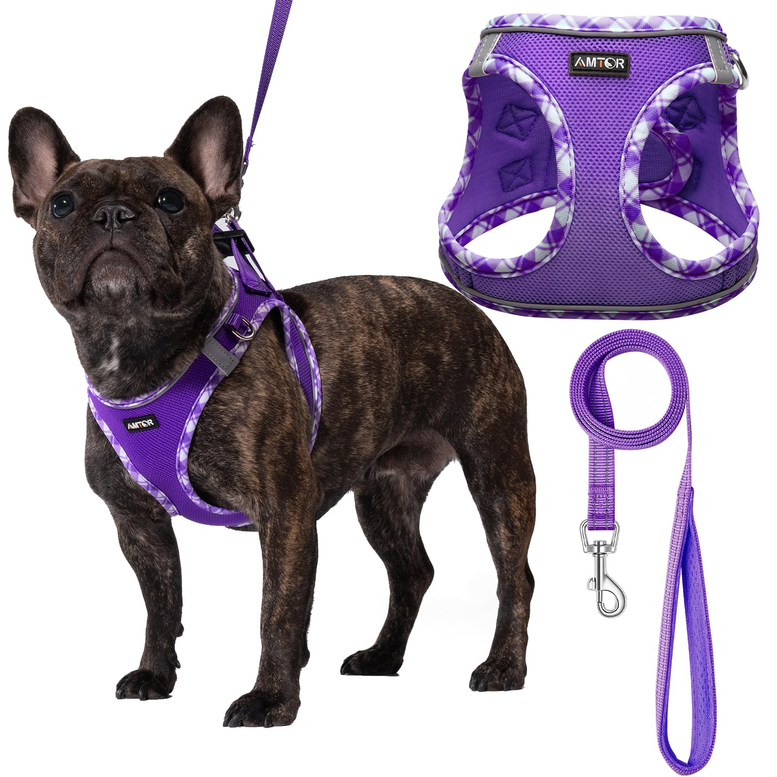 AMTOR Small Dog Harness with Leash Set, No Escape Easy Walk Puppy Harnesses for Training Walking, Step-in Reflective Soft Dogs Vest for XS S Medium