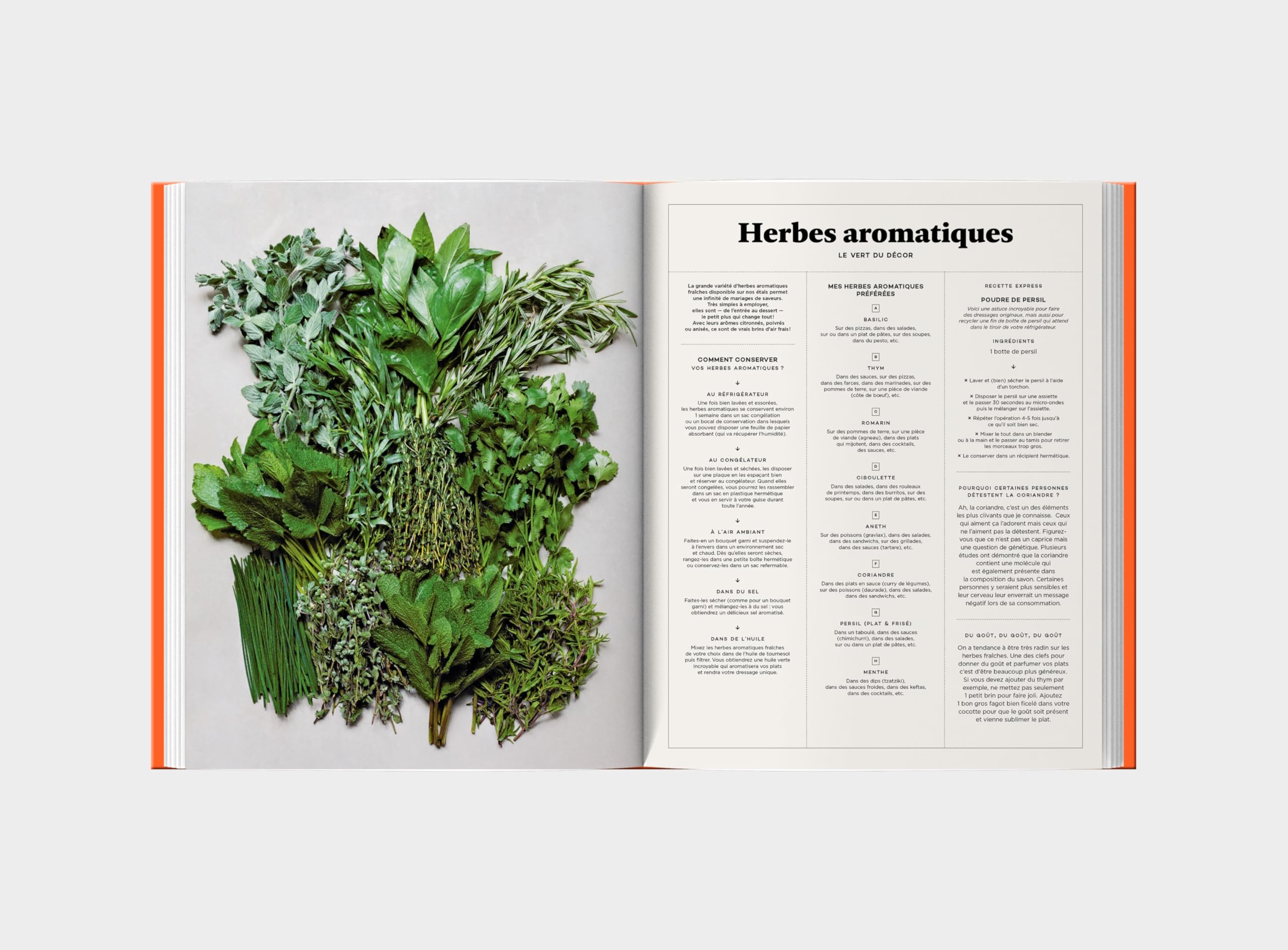 Manuel du cuisinier amateur Tome 2: À toutes faims utiles - 150 recettes et techniques