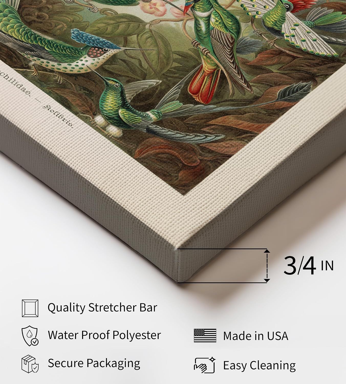 Poster Master Hummingbirds Canvas - Retro Art Forms in Nature Print - Bird Art - Gift for Him, Her & Animal Lover - Great Wall Decor for Dorm, Living Room or Bedroom - 8x10 STRETCHED Canvas